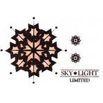 Skylight Limited