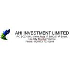AHI INVESTMENT LIMITED