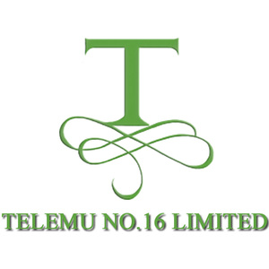 Telemu No.16 Limited