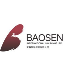 BaoSen International Holdings Limited