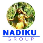 Nadiku Holdings Limited