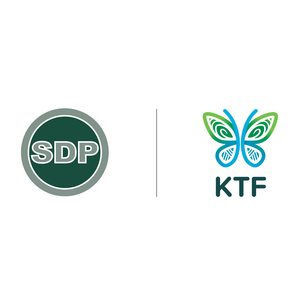 SDP-KTF