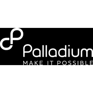 Palladium PNG Ltd